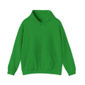 Fern Hollow Hoodie — Retro Vibes
