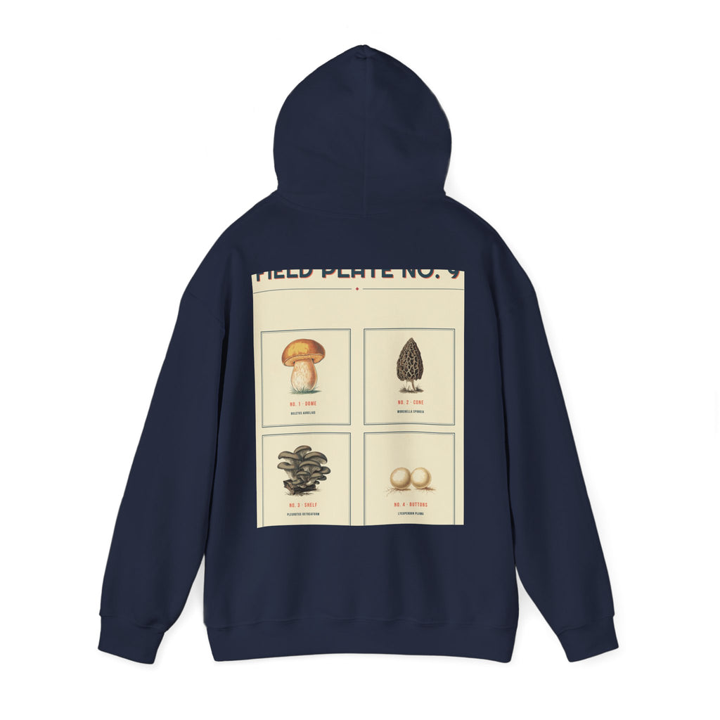 Field Plate No. 9 Hoodie — Series II
