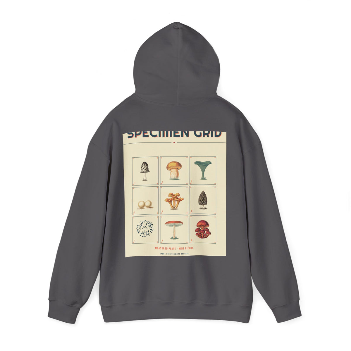 Geometric Specimen Grid Hoodie — Series II