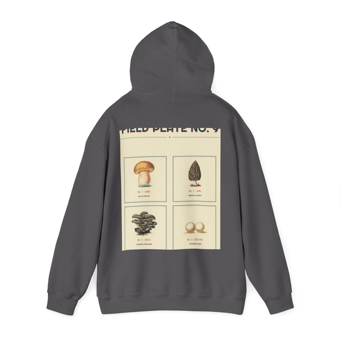 Field Plate No. 9 Hoodie — Series II