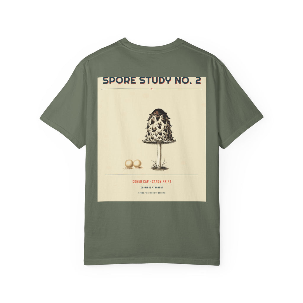 Spore Study No. 2 — Cone Cap — Series II