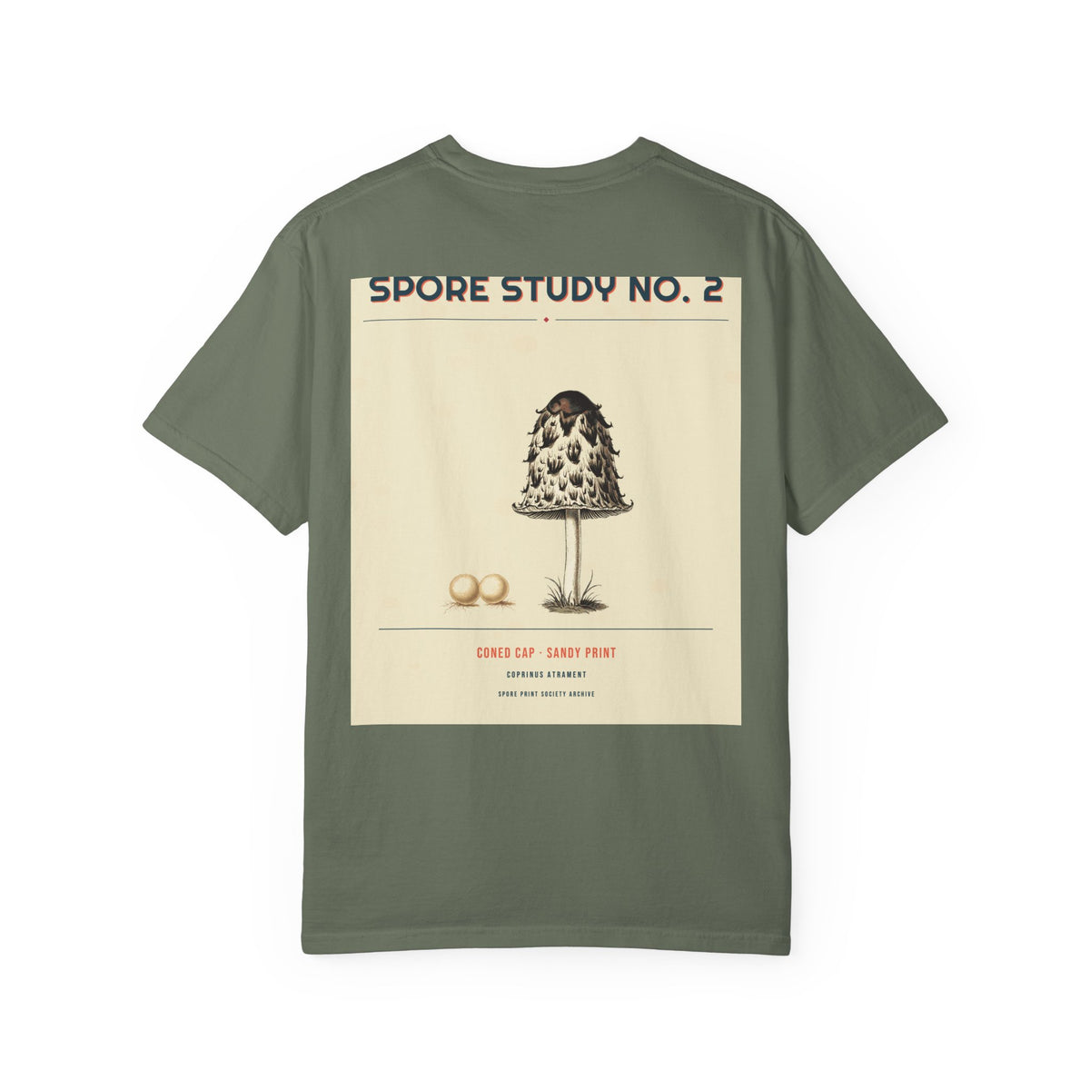 Spore Study No. 2 — Cone Cap — Series II