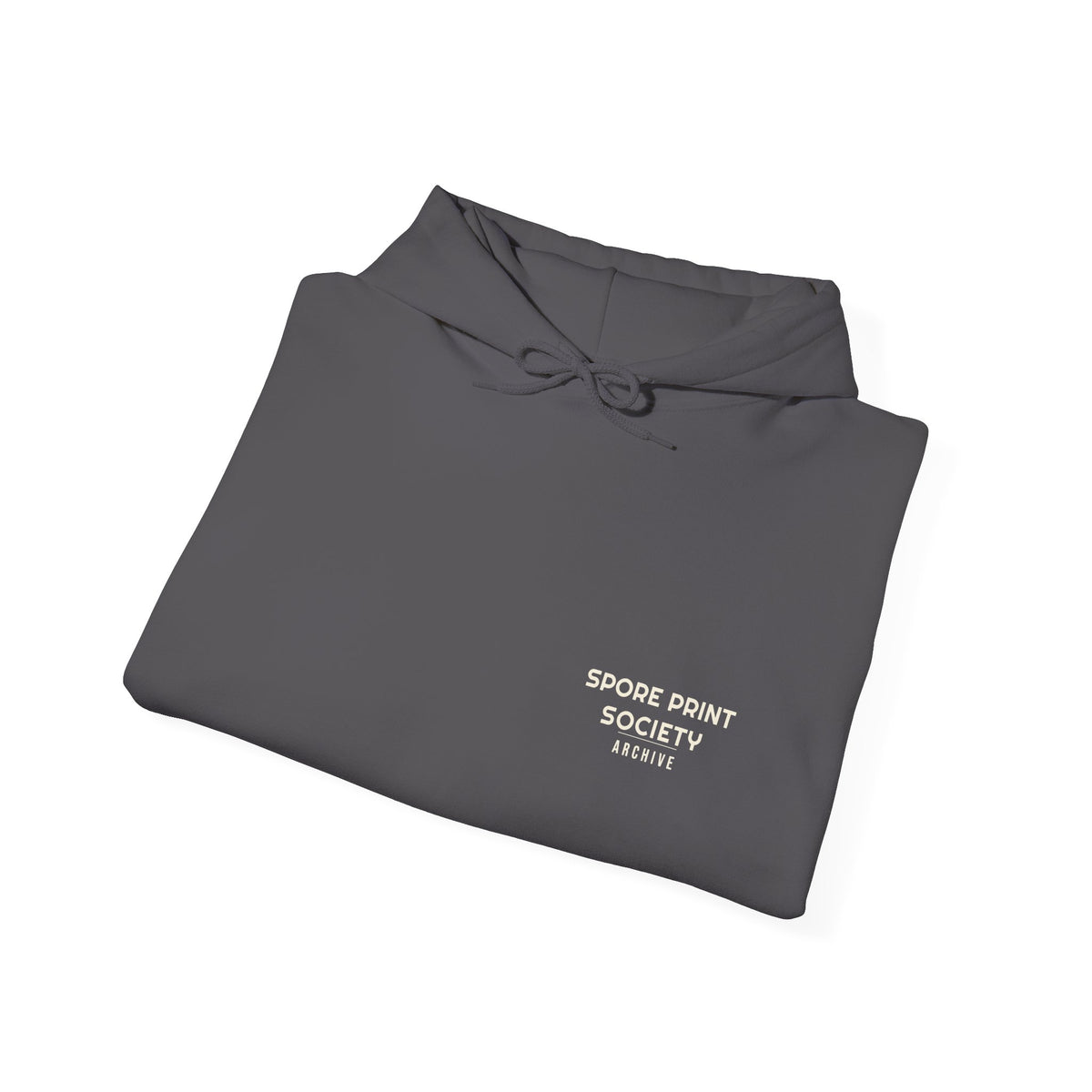 Field Plate No. 9 Hoodie — Retro Vibes
