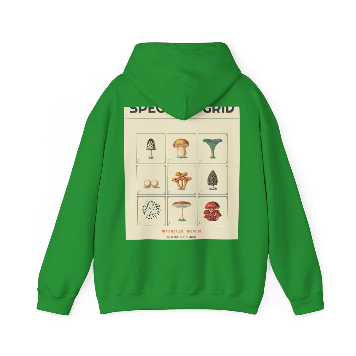 Geometric Specimen Grid Hoodie — Series II