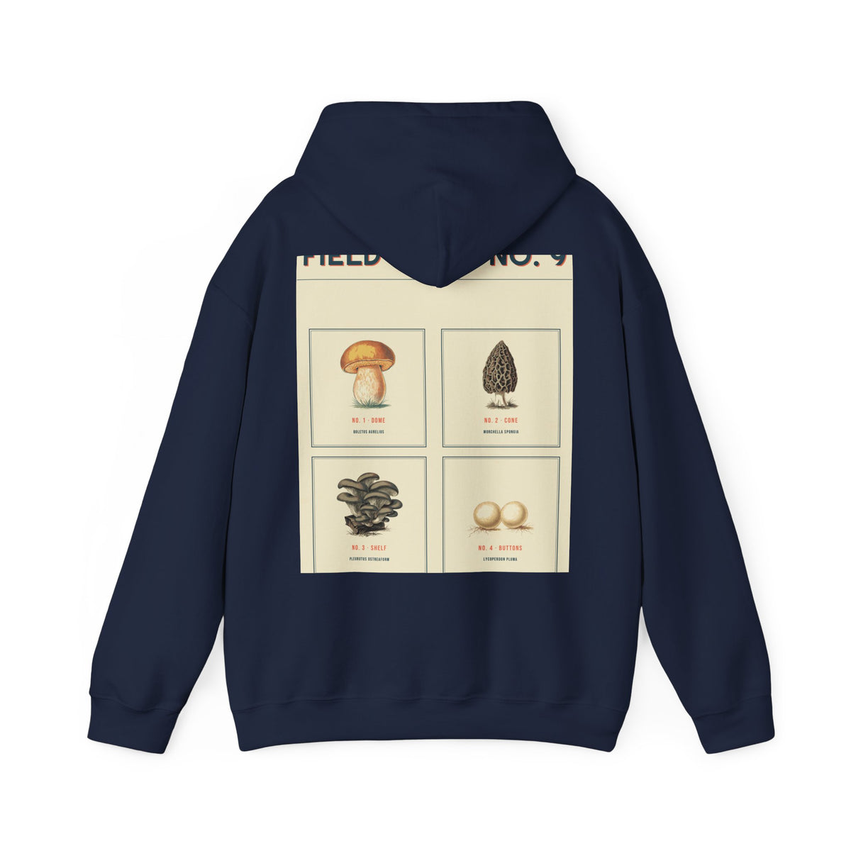 Field Plate No. 9 Hoodie — Series II