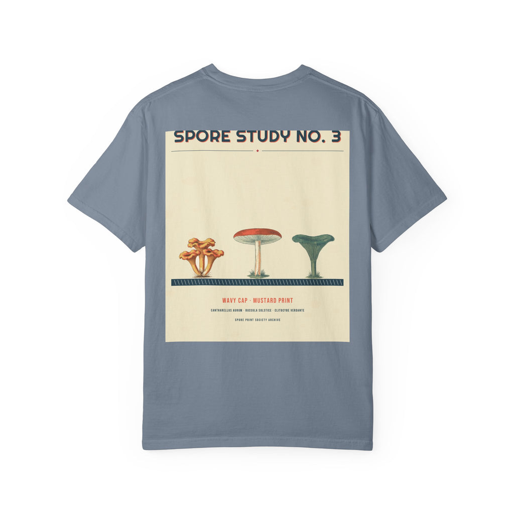 Spore Study No. 3 — Wavy Cap — Series II