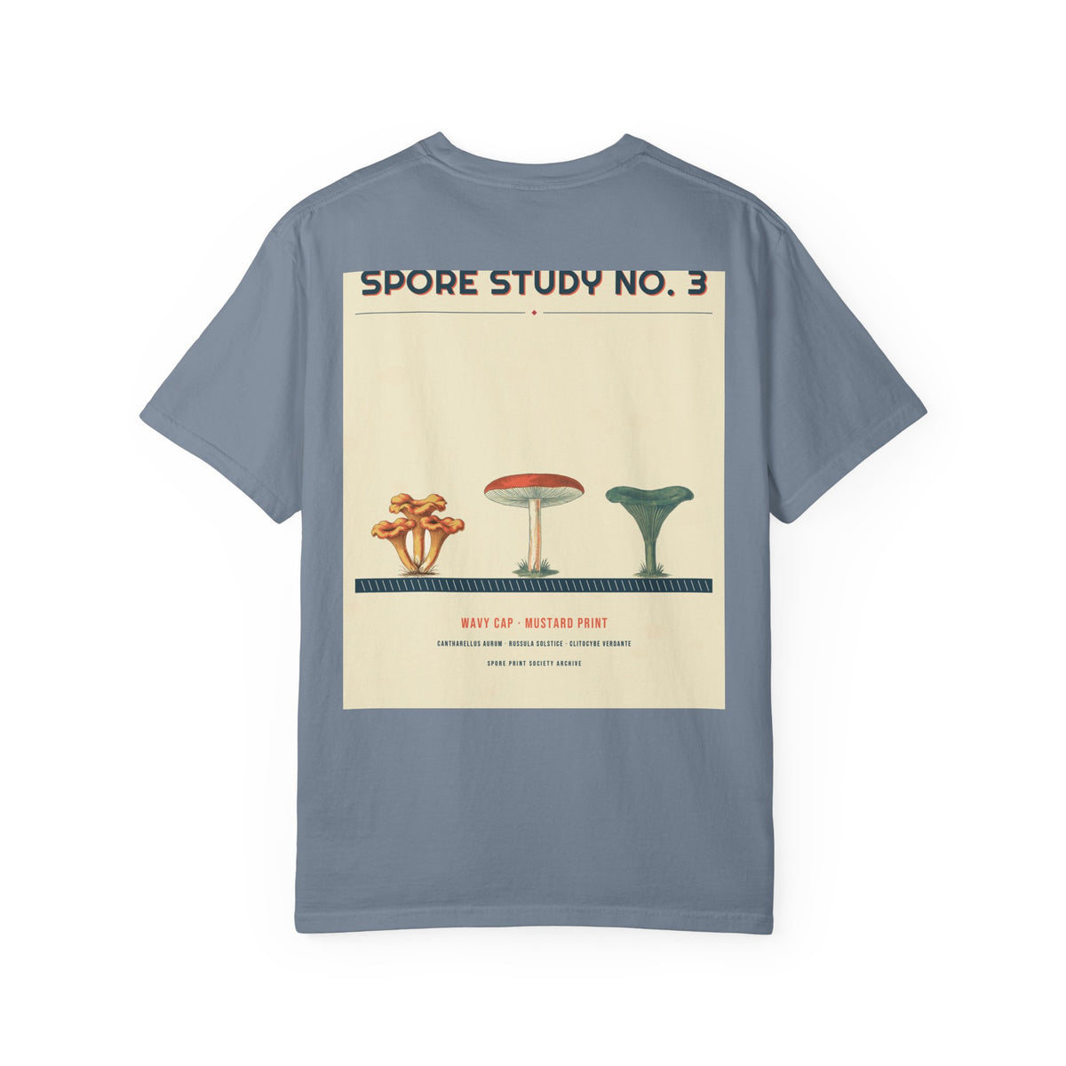 Spore Study No. 3 — Wavy Cap — Series II