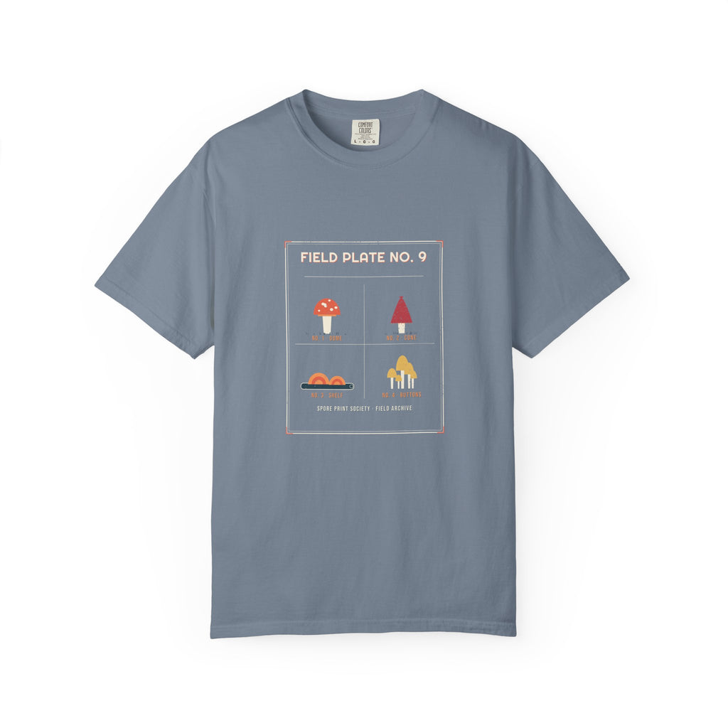 Field Plate No. 9 — Retro Vibes
