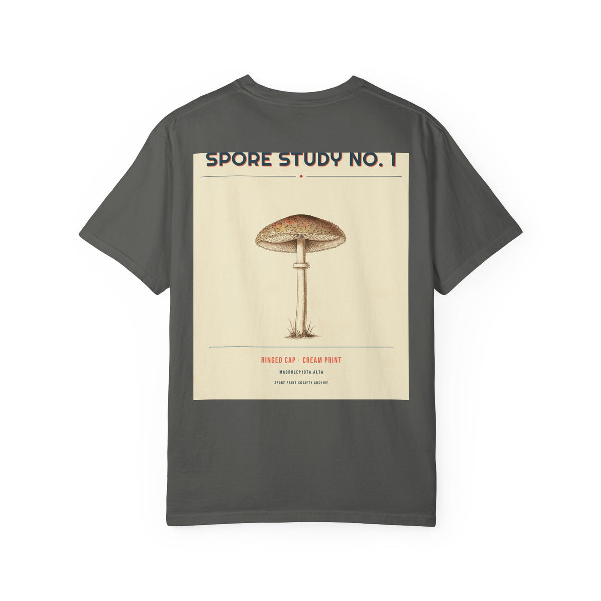 Spore Study No. 1 — Ringed Cap — Series II