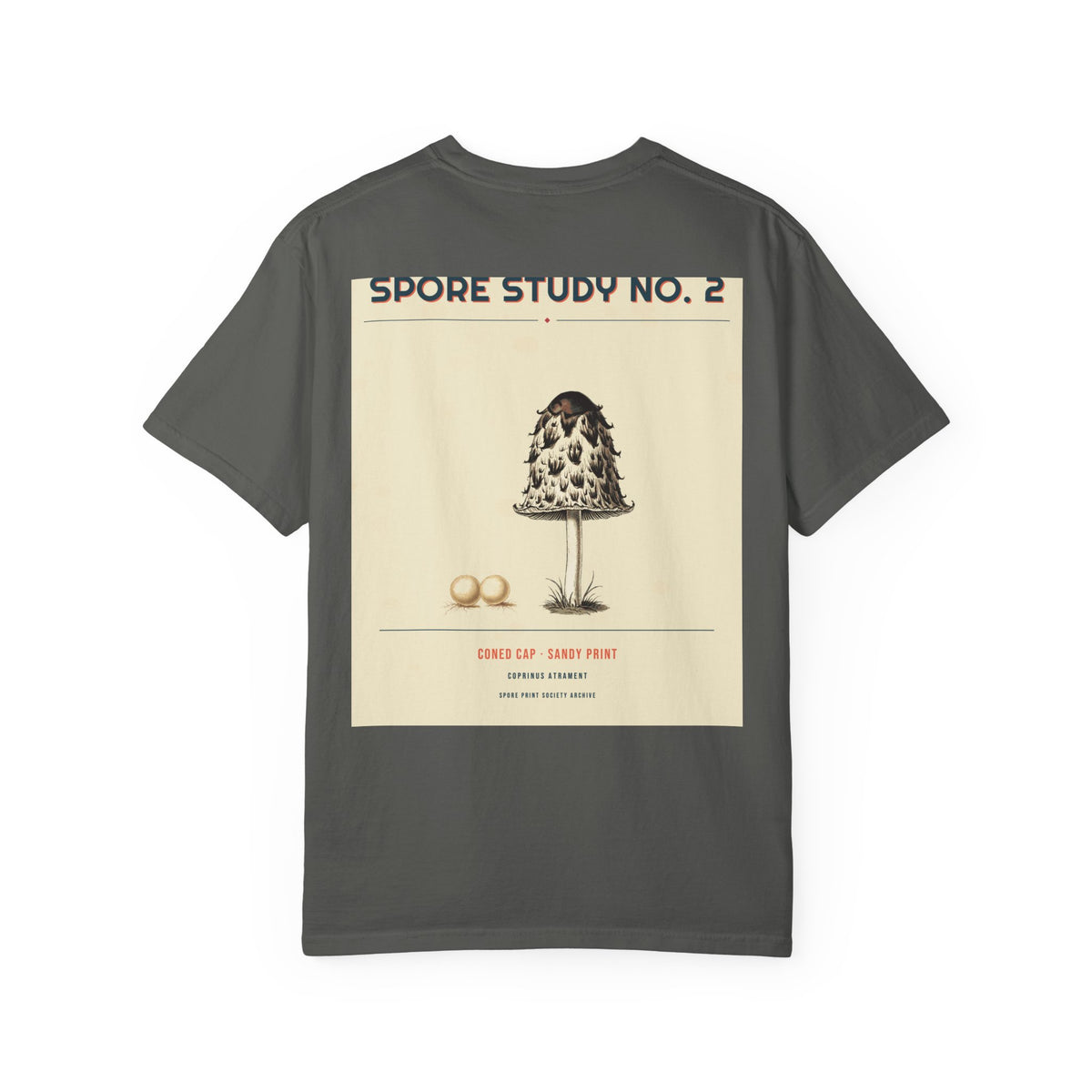Spore Study No. 2 — Cone Cap — Series II