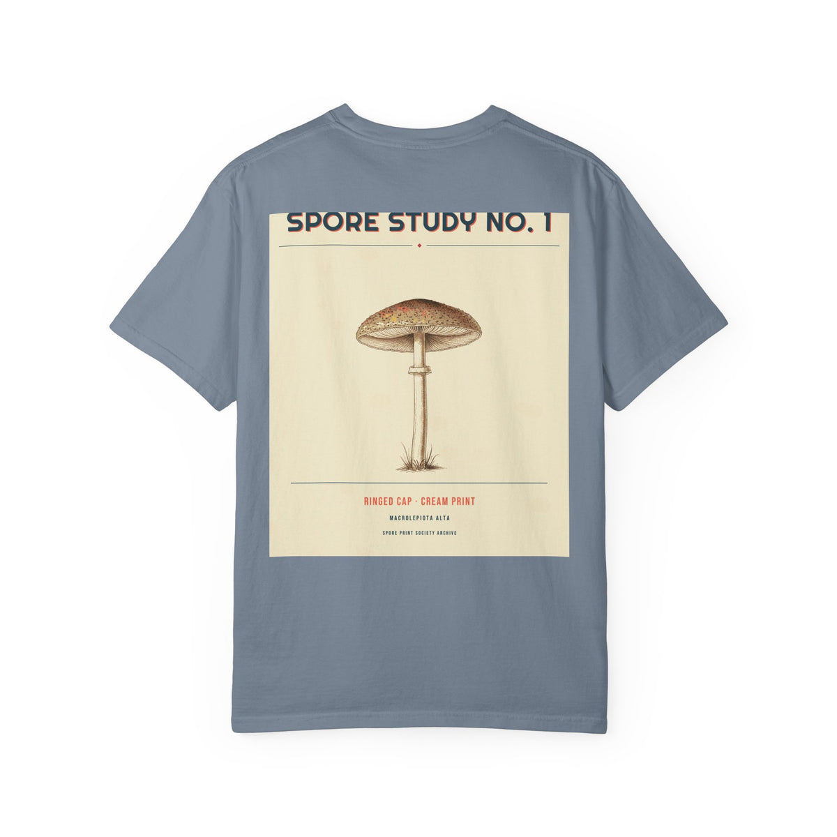 Spore Study No. 1 — Ringed Cap — Series II