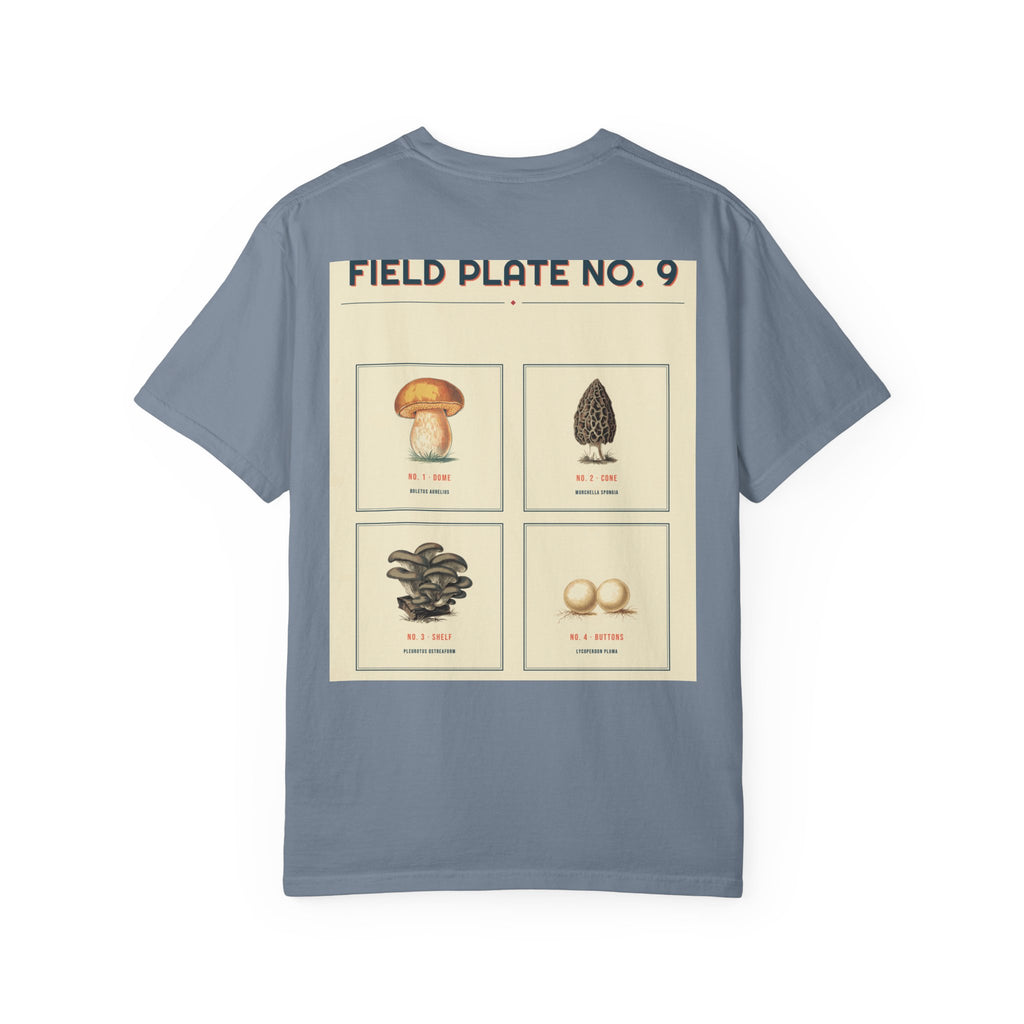 Field Plate No. 9 — Series II