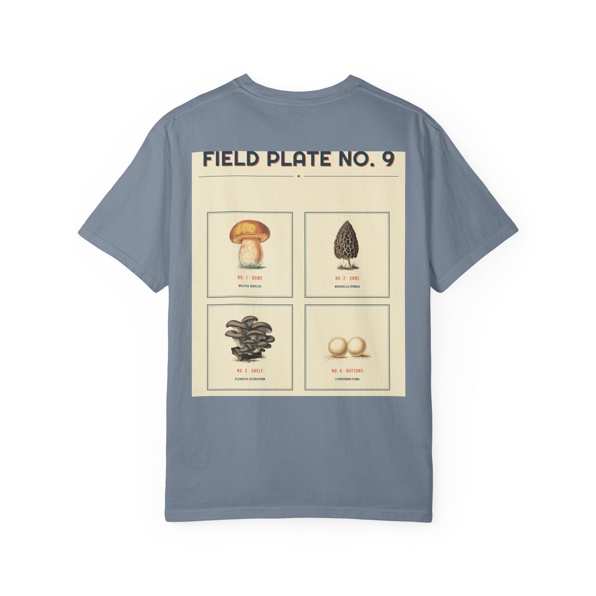 Field Plate No. 9 — Series II