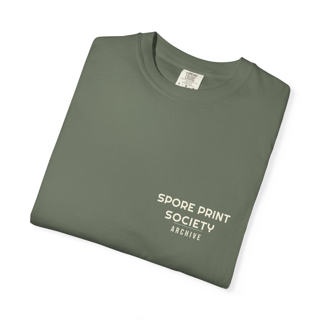 Spore Study No. 2 — Cone Cap — Series II
