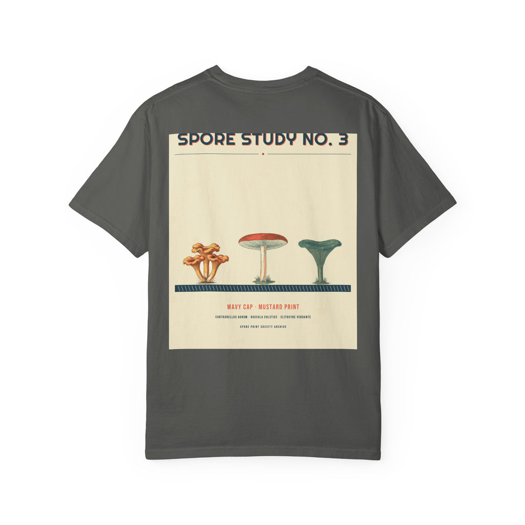 Spore Study No. 3 — Wavy Cap — Series II